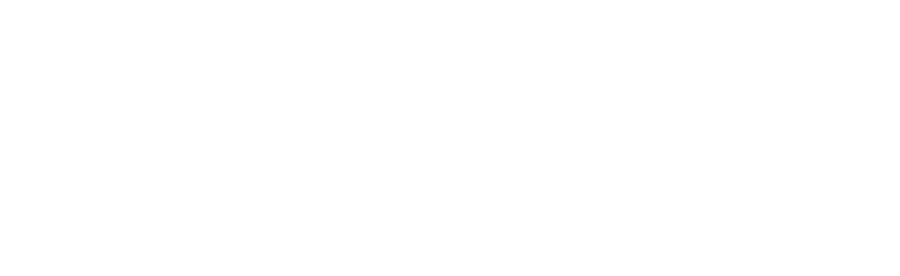 Especialista Bling